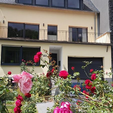 Ferienwohnung "Zum Klosterruinenblick" Krov Bagian luar foto