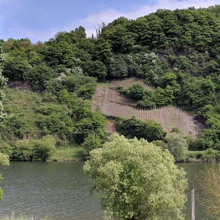 Ferienwohnung "Zum Klosterruinenblick" Krov Bagian luar foto