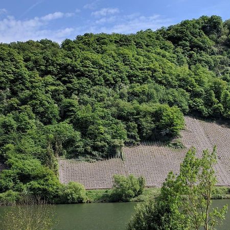 Ferienwohnung "Zum Klosterruinenblick" Krov Bagian luar foto