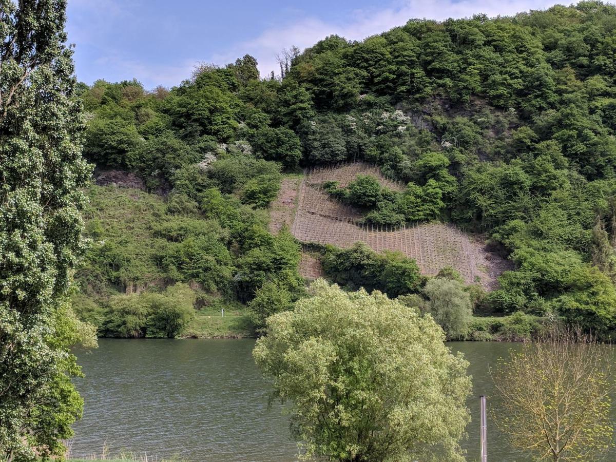 Ferienwohnung "Zum Klosterruinenblick" Krov Bagian luar foto