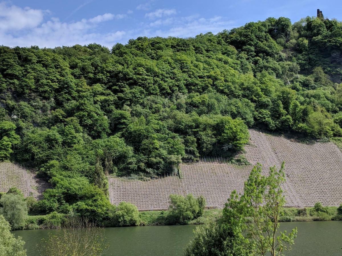 Ferienwohnung "Zum Klosterruinenblick" Krov Bagian luar foto